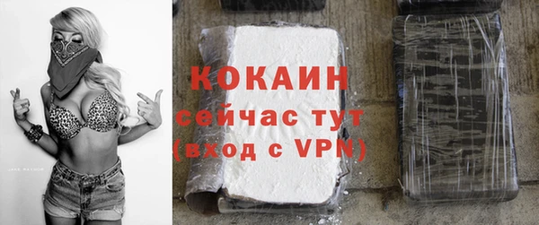 mdpv Богородицк